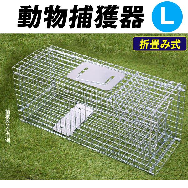 国華園 箱罠 捕獲器 猫 捕獲機 アニマルトラップ 動物捕獲器L 1個 トラップ 駆除 捕獲 踏板式 捕獲機 動物 アニマルキャッチャー 罠 わな 保護 害獣 仕掛け