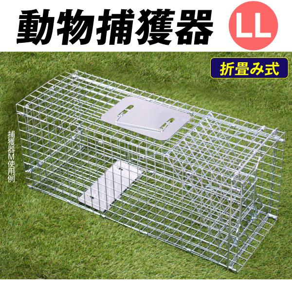 国華園 箱罠 捕獲器 猫 捕獲機 アニマルトラップ 動物捕獲器LL 1個 トラップ 駆除 捕獲 踏板式 捕獲機 動物 アニマルキャッチャー 罠 わな 保護 害獣 仕掛け