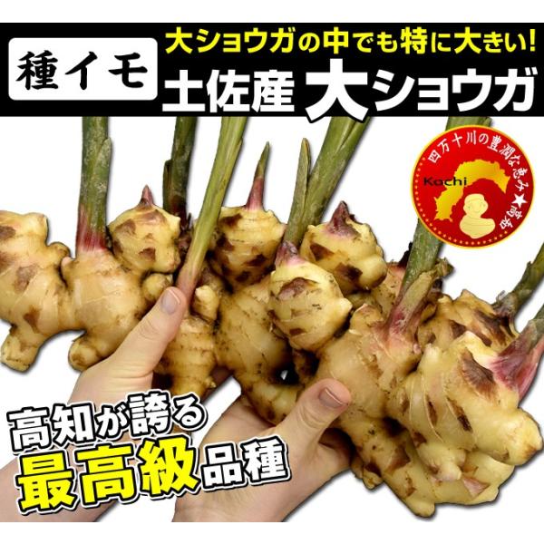 kokkaen_2012-p3-126_1