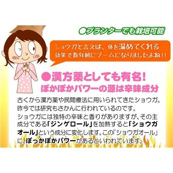 kokkaen_2012-p3-126_3