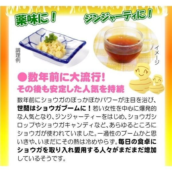 kokkaen_2012-p3-126_4