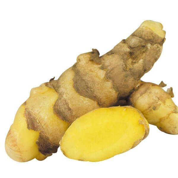 人気高い●商品情報：秋ウコンよりも大型で人気が高い。ミネラルなどをバランスよく含み、高い人気を誇ります。●お届け状態：種イモ●日照：日なた●収穫期：11月●栽培適地：畑・鉢●耐寒性：弱●備考：※販売はあくまでも植物ですので、ご利用の際は予め...