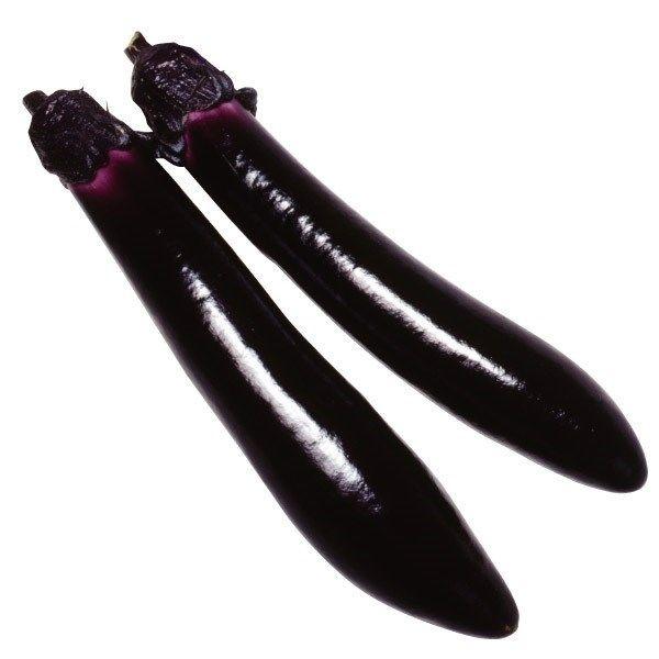 ●商品情報：果肉柔らかく焼き茄子が旨い！　果長30cmにもなる北九州特産の大長ナス。草勢旺盛で茎も折れにくく、栽培容易で、うまく栽培すれば春に播種して秋口まで長く収穫できます。焼きナス・マーボーナスなど調理の幅があります。●果長（約）：30...