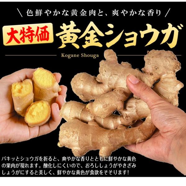 kokkaen_2013-p3-236_1