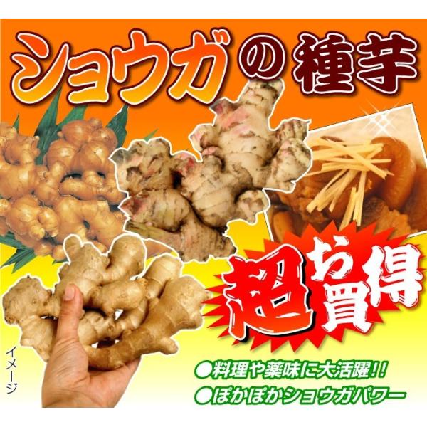 kokkaen_2013-p3-236_2