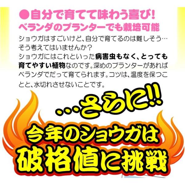 kokkaen_2013-p3-236_5