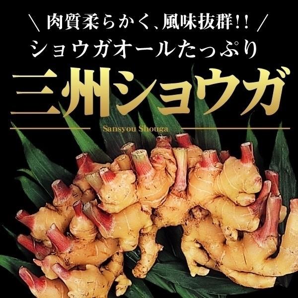 風味抜群!●商品情報：肉質柔らかく、風味抜群のショウガ。生のまま味噌をつけて召し上がれ!酒の肴におすすめです。●お届け状態：種ショウガ●日照：半日陰●収穫期：9〜11月●栽培適地：畑●草丈：40〜80cm