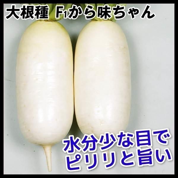 大根 ダイコン タネ F1から味ちゃん 1袋 3ml 種 野菜たね Ytc05 13n P6 0035 花と緑 国華園 通販 Yahoo ショッピング