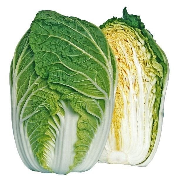 種 野菜たね ハクサイ F1春蒔き黄芯白菜 1袋 2ml 野菜のタネ 野菜 種子 白菜 ハクサイ 国華園 14 P6 021 花と緑 国華園 通販 Yahoo ショッピング