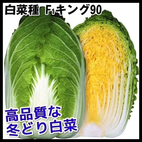 ハクサイ 種 野菜たね F1キング90 1袋 5ml 野菜のタネ 野菜 種子 白菜の種 ハクサイ 白菜 タネ Ytc11 国華園 14n P6 0112 花と緑 国華園 通販 Yahoo ショッピング