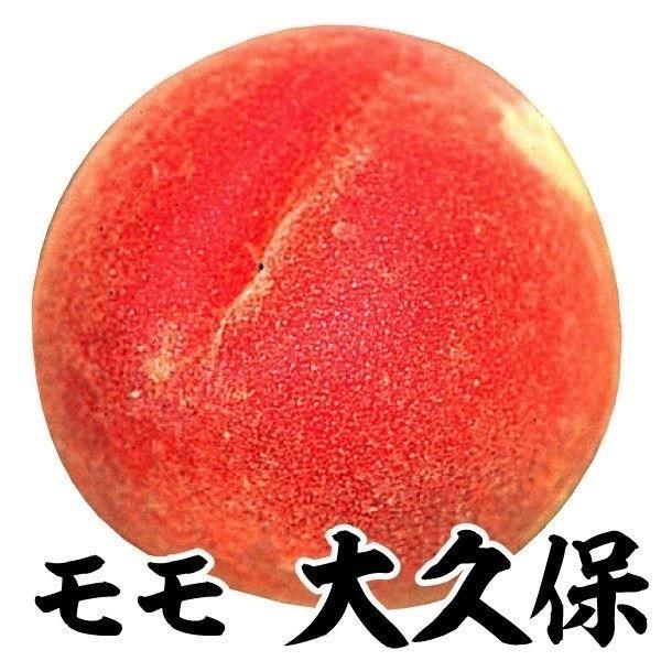 ●商品情報：糖度約12度。人気の大玉モモ。果重約280ｇ。花粉が多く、受粉樹にも。●お届け状態：接木1年生根巻苗●分類：落葉樹●収穫期(約)：8月上旬●日照条件：日なた●耐寒性：強●栽培適地：庭・鉢●栽培のポイント：1本で実る
