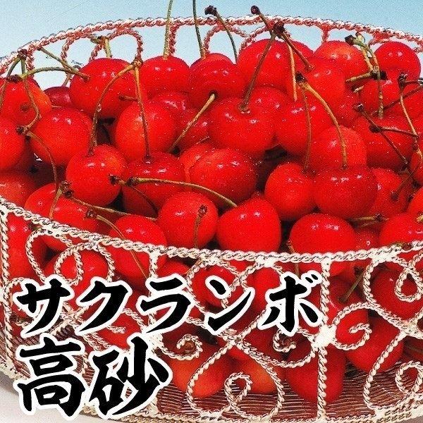 植木 盆栽 さくらんぼの人気商品 通販 価格比較 価格 Com