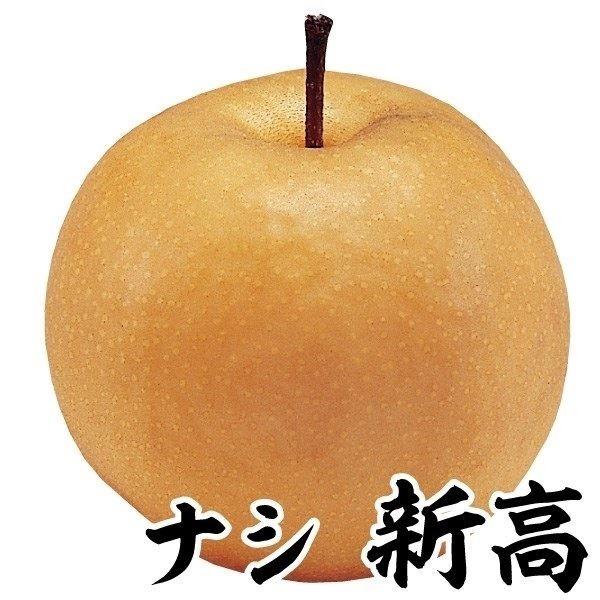 ●商品情報：果重500〜600gと超巨大梨で、糖度13〜15度! ●お届け状態：接木1年生根巻苗●分類：落葉樹●収穫期(約)：9月中旬〜●日照：日なた●耐寒性：強/寒冷地でも地植えOK●栽培適地：庭・鉢●栽培ポイント：1本では実らないので「...