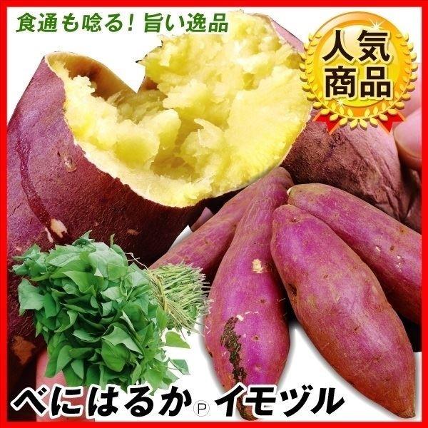 次世代の極旨さつまいも●商品情報：甘味が強くて風味良く、ふかしいもにすると、とっても甘〜い・しかも貯蔵性に優れ、2か月以上貯蔵したイモは、ふかしいもにしても焼きいもにしても絶品の甘さ!!食品カタログでも人気の『甘太くん』などは、ある特定の地...