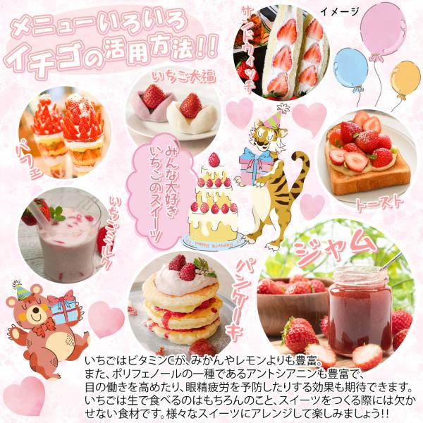 ���؉� �������c ��������PVP 6�� / �ƒ�؉� �C�`�S�c 䕕c �C�`�S�̕c �������̕c �嗱�C�`�S �Â��C�`�S �傫���C�`�S �a�C�ɋ����C�`�S ���i�摜2