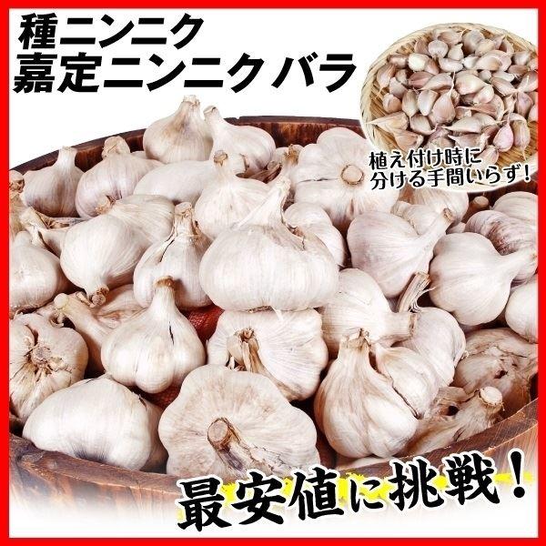 中国産 にんにく - 球根の人気商品・通販・価格比較 - 価格.com 中国産 にんにく - 球根の人気商品・通販・価格比較 - 価格.com