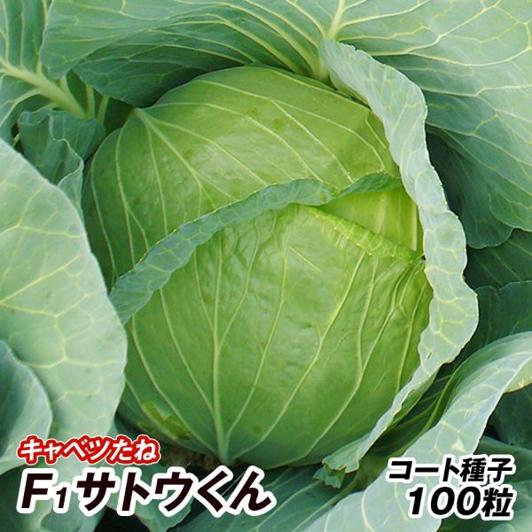 【chapeau様ご連絡用ページ】 出荷条件と電話応対に関するお詫び | 星野株式会社