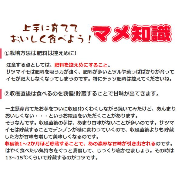 kokkaen_2016-p3-095_5