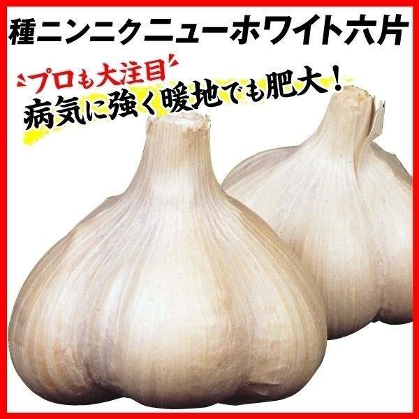 ニンニク 種球 ニューホワイト六片 5kg 大蒜 葫 球根 ガーリック 黒ニンニク作りに 家庭菜園 国産 17n P3 0003 花と緑 国華園 通販 Yahoo ショッピング