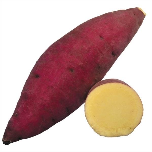 ●商品情報：焼芋にするのに最適な、小ぶりのイモがザクザクできる最新品種!ホクホク旨いさつまいも!●お届け状態：イモヅル●粘度：粉質※「海外持出禁止（公示（農水省HP）参照）」