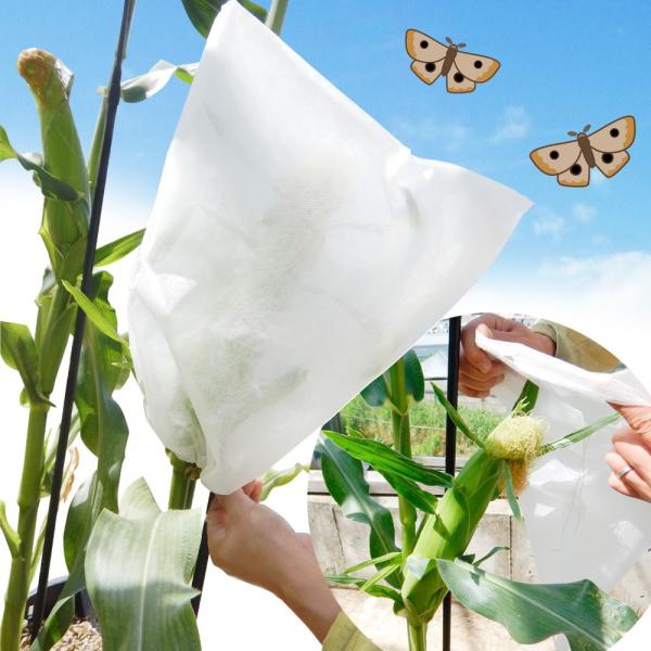 ●商品情報：受粉後に袋がけすることで、トウモロコシの天敵、アワノメイガや鳥等から大切な実をガード。不織布製で、網のように隙間がなくムレにくい！ 雨にも強く、埃や紫外線からも果実を守ります。ワンタッチ紐付きで取付もラクラク！●サイズ：幅30×...