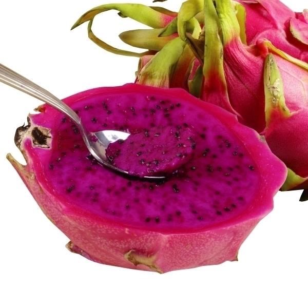 ドラゴンフルーツ 苗 赤実 1株 ドラゴンフルーツ苗木 ドラゴンフルーツの木 ドラゴンフルーツの苗 南国フルーツ 果樹苗 国華園 18 P8 0286 花と緑 国華園 通販 Yahoo ショッピング