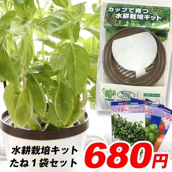 送料無料 野菜たね資材 水耕栽培キット 1組 パクチー ミニトマト バジルのレビュー クチコミとして参考になる投稿3枚 Roomclip ルームクリップ