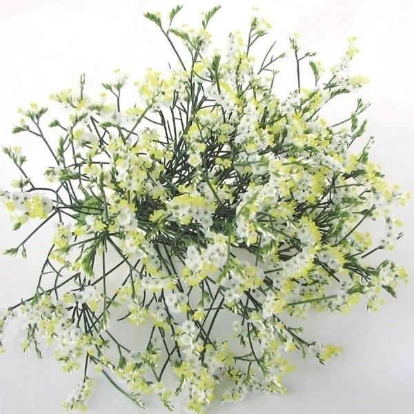 ●商品情報：カラフルで色鮮やかなので、アレンジメントの添え花にはもちろん、銀河シリーズだけでも美しいスターチス。一般種に比べて暑さに強い!   ●お届け状態：ポット苗   ●分類：多年草   ●開花期(約)：5〜7月   ●草丈(約)：60...