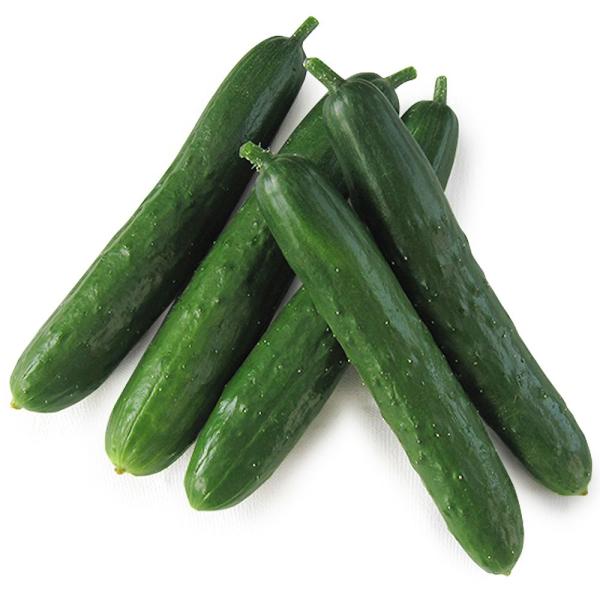 ●商品情報：雌花率が90％以上にもなる「超」多収胡瓜！ パリッと食感が最高に美味しく、ミディサイズなのでご家庭で消費しやすい！ 小葉で節間も短く管理がラクラク♪うどんこ病・べと病・ウイルス病（ＺＹＭＶ）耐病性があり育てやすい。 ●果長（約）...