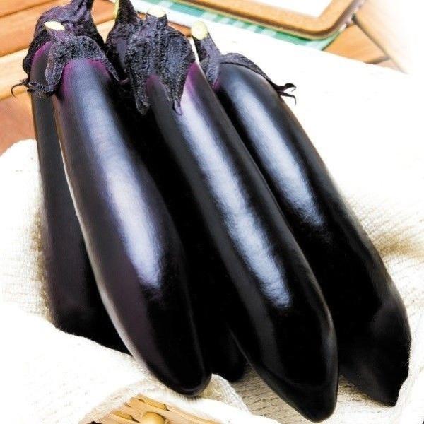 ●商品情報：単為結果性に優れる長ナス。トゲがほとんどなく作業性抜群、また、果揃いも良く、見た目の良いナスが収穫できます。果皮はやわらかで炒め物や煮物をはじめ、漬物にも適している万能品種です。●果長（約）：20cm●お届け状態：種子●入り数：...