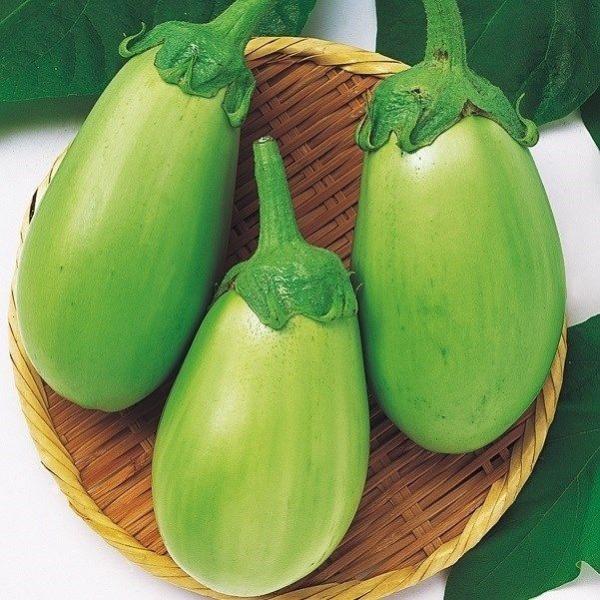 ●商品情報：耐暑性があり、露地栽培に適した作りやすい淡緑色の卵形ナス。品質良く、果肉はとっても柔らか!　アクやクセが少なく、煮物の他に生食にも◎●果長（約）：15〜20cm●お届け状態：種子●入り数の目安：1mlあたり約60〜100粒入り※...