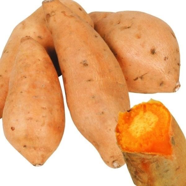 ●商品情報：鮮橙色の果肉は甘味強く、βカロチンたっぷりなさつまいも！冷めても美味。●お届け状態 ：親株用ポット苗●備考：※親株ポット苗でお届け。ポット苗1株からイモヅルおよそ10〜20本が採れます。「メリクロン苗」とは生長点を無菌培養して育...