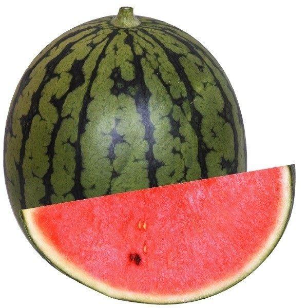 ●商品情報：高糖度でシャリ感強く、食味最高の紅小玉スイカ! 　低温着果性に優れ、栽培容易●果重（約）：2〜2.5kg（小玉）●糖度（約）：13度●お届け状態：種子●入り数：8粒●発芽適温：25〜30℃※発芽させるには播種床を上記の温度にして...