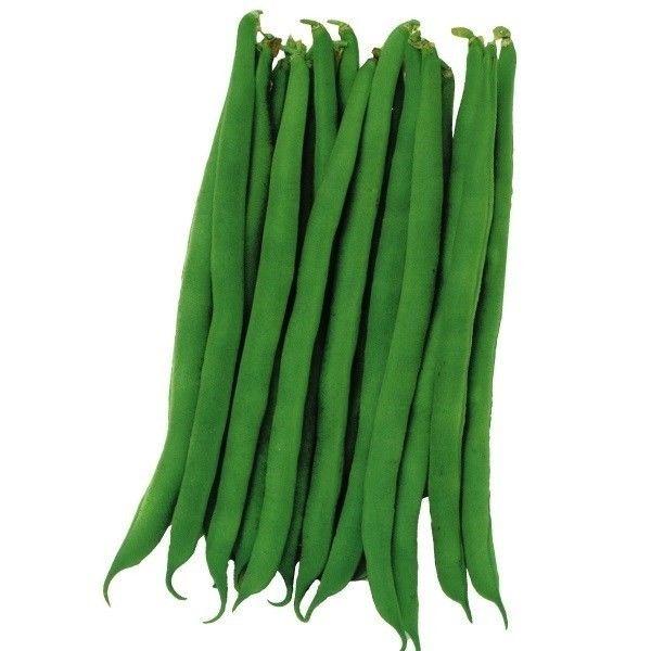 ●商品情報：揃いよく、高秀品率！ 莢長13〜14cmのツヤのあるすじなし濃緑丸莢は、着莢性がよく収量性抜群。草丈約55cmの極早生品種。●つるの有無：つるなし●莢の形：丸莢●お届け状態：種子●入り数の目安：40mlあたり約100〜150粒※...