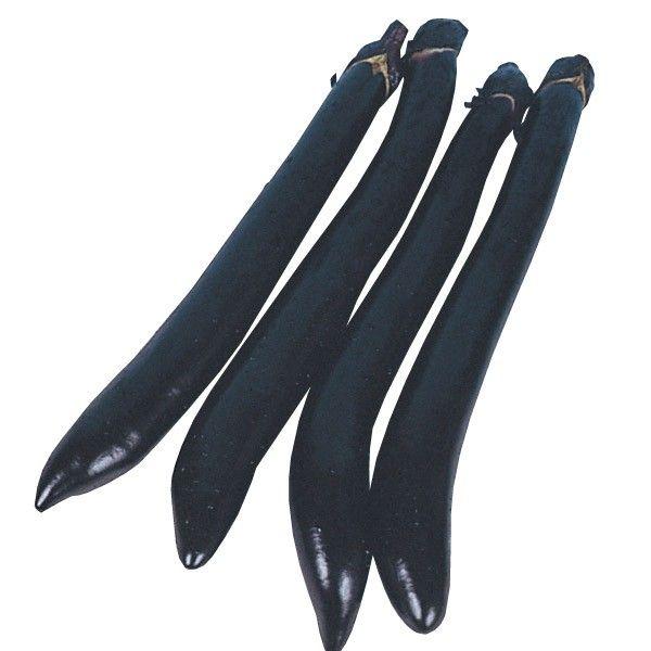 ●商品情報：果肉が柔らかで、種が少ない美味長ナス。●果長（約）：25cm●早晩性：中生●お届け状態：種子●入り数の目安：1mlあたり約60〜100粒入り※品種により差があります。●発芽適温：20〜30℃※発芽させるには播種床を上記の温度にし...