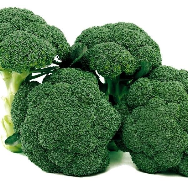 ブロッコリー 種 野菜たね F1しっかり緑 1袋 0 5ml 野菜のタネ 野菜 種子 ブロッコリーの種 花野菜 タネ Ytc19 国華園 n P6 0014 花と緑 国華園 通販 Yahoo ショッピング