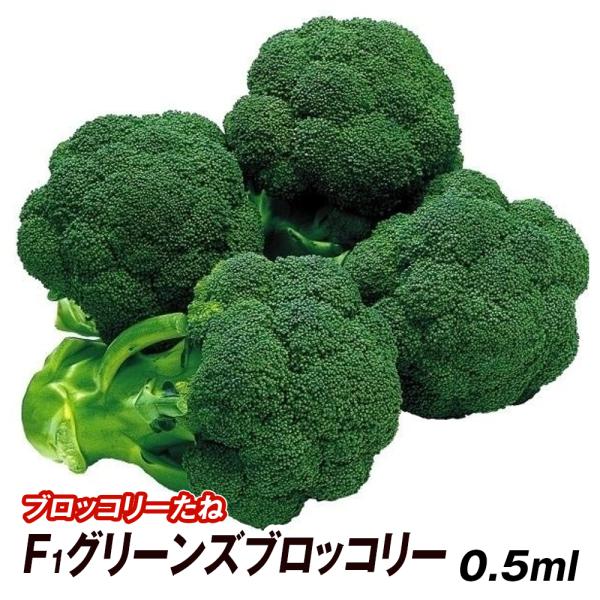 ブロッコリー 種 野菜たね F1グリーンズブロッコリー 1袋 0 5ml 野菜のタネ 野菜 種子 ブロッコリーの種 花野菜 タネ 国華園 n P6 0015 花と緑 国華園 通販 Yahoo ショッピング