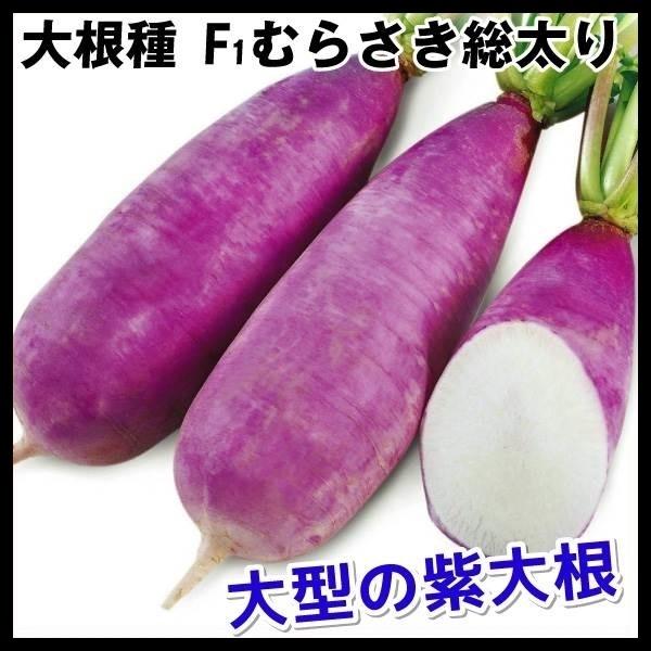 大根 ダイコン タネ F1むらさき総太り 1袋 1ml 種 野菜たね Ytc06 n P6 0046 花と緑 国華園 通販 Yahoo ショッピング