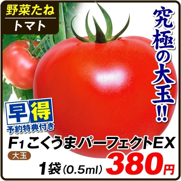 トマト 袋 種の人気商品 通販 価格比較 価格 Com