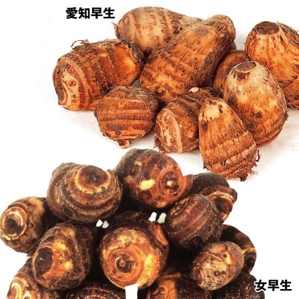 里芋 1kgの人気商品 通販 価格比較 価格 Com