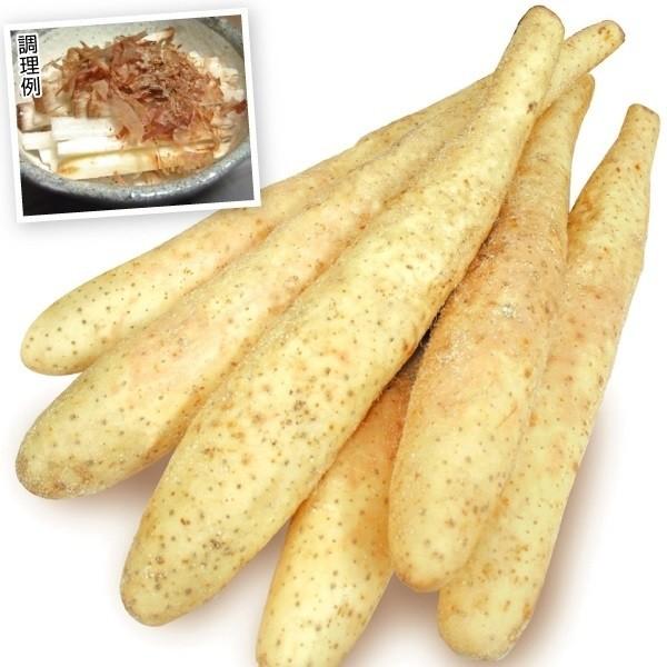 ●商品情報：甘味があって粘り気が強いのが特徴の長芋。耐病性あり。●お届け状態：種イモ※切イモまたは一本種でお届け●収穫期(約)：11〜12月●性質：つる性●日照：日なた●栽培適地：畑