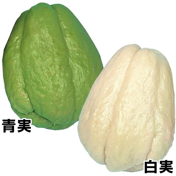 山菜など有用植物苗 ハヤトウリセット2種4個 家庭菜園 自給自足 国華園 21 P3 0079 花と緑 国華園 通販 Yahoo ショッピング