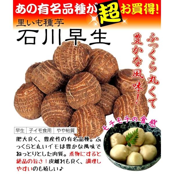 kokkaen_2021-p3-0089_2