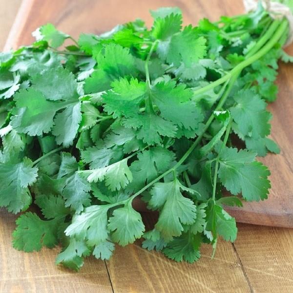 種 野菜たね ユニーク野菜 ぱくぱくパクチー 1袋 10ml 野菜のタネ 野菜 種子 国華園 21 P6 0165 花と緑 国華園 通販 Yahoo ショッピング