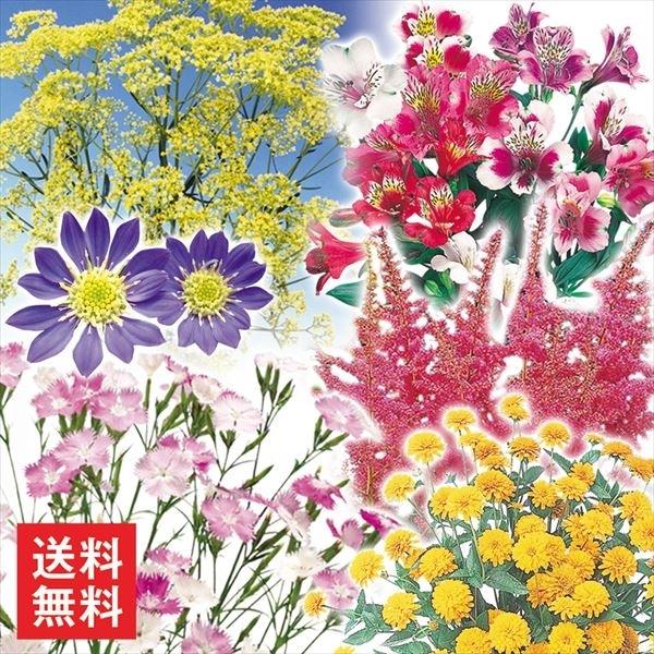 多年草 切花の人気商品 通販 価格比較 価格 Com