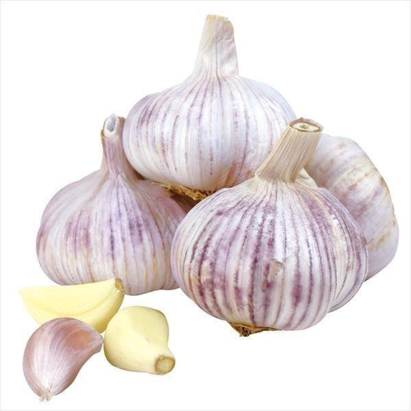 国華園 ニンニク 種球 紫ニンニク 珠むらさき (中国産) 500g