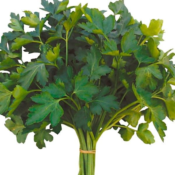 ハーブ 種 野菜たね イタリアンパセリ ジャイアント 1袋 1 5ml 野菜のタネ 野菜 種子 ハーブの種 タネ 国華園 21n P6 0023 花と緑 国華園 通販 Yahoo ショッピング