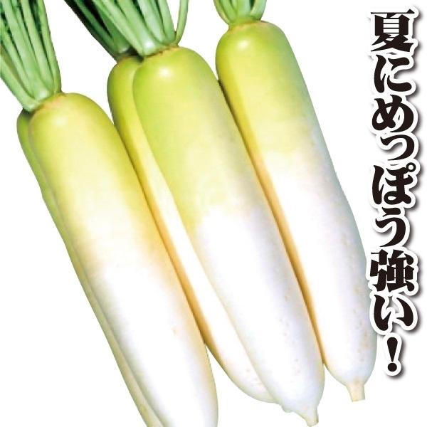 大根 ダイコン タネ F1元輝 1袋 10ml 種 野菜たね 2021人気の