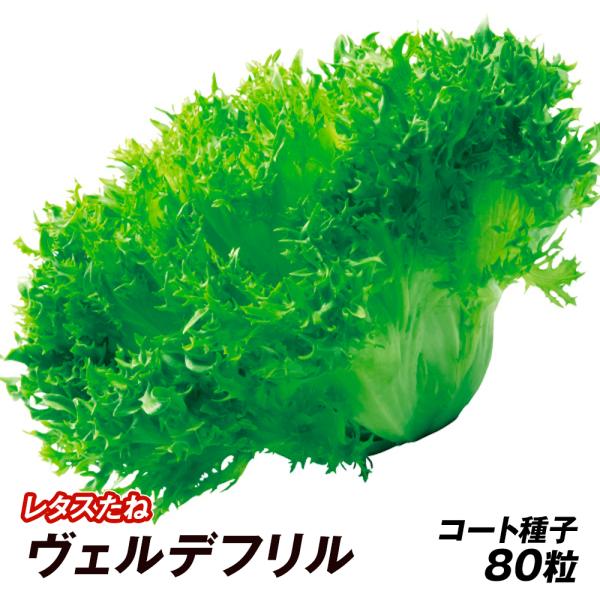 kokkaen_2021n-p6-0090