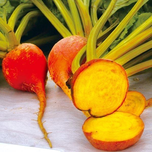 ビーツ 野菜 みんな探してる人気モノ ビーツ 野菜